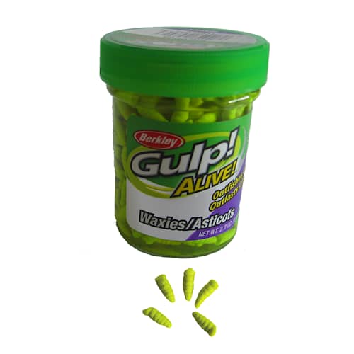 Gulp! Alive Maggot Chartreuse