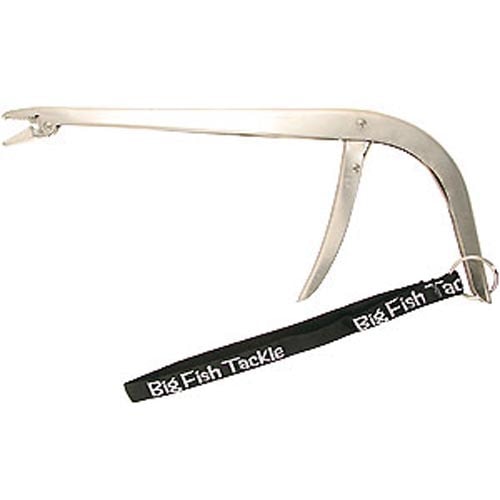 BFT Kroklossartång Rostfri med snöre