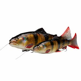Savage Gear 4D Line Thru Trout 25 cm 193g Sinking Rainbow Trout