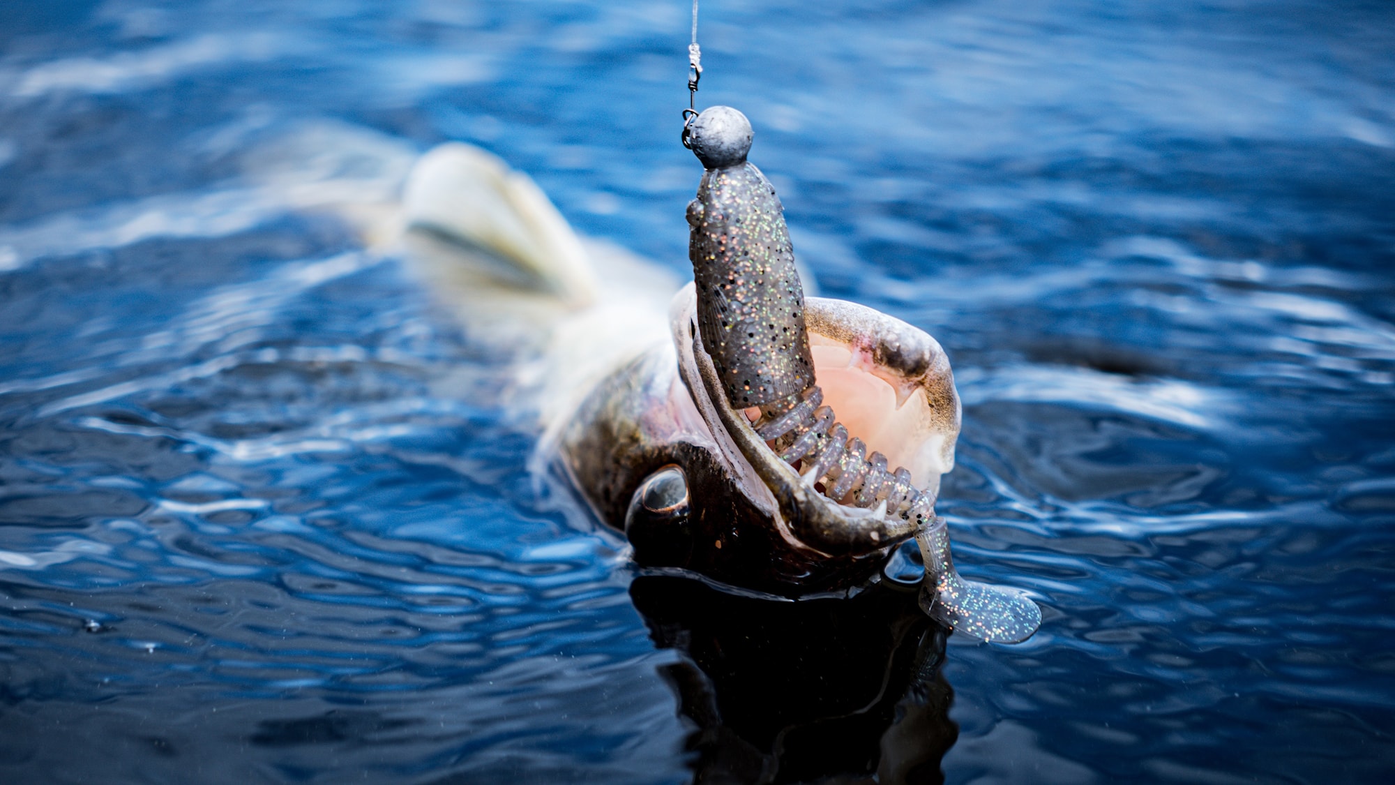 Mediapack Juni 2-1 SMAL.jpg