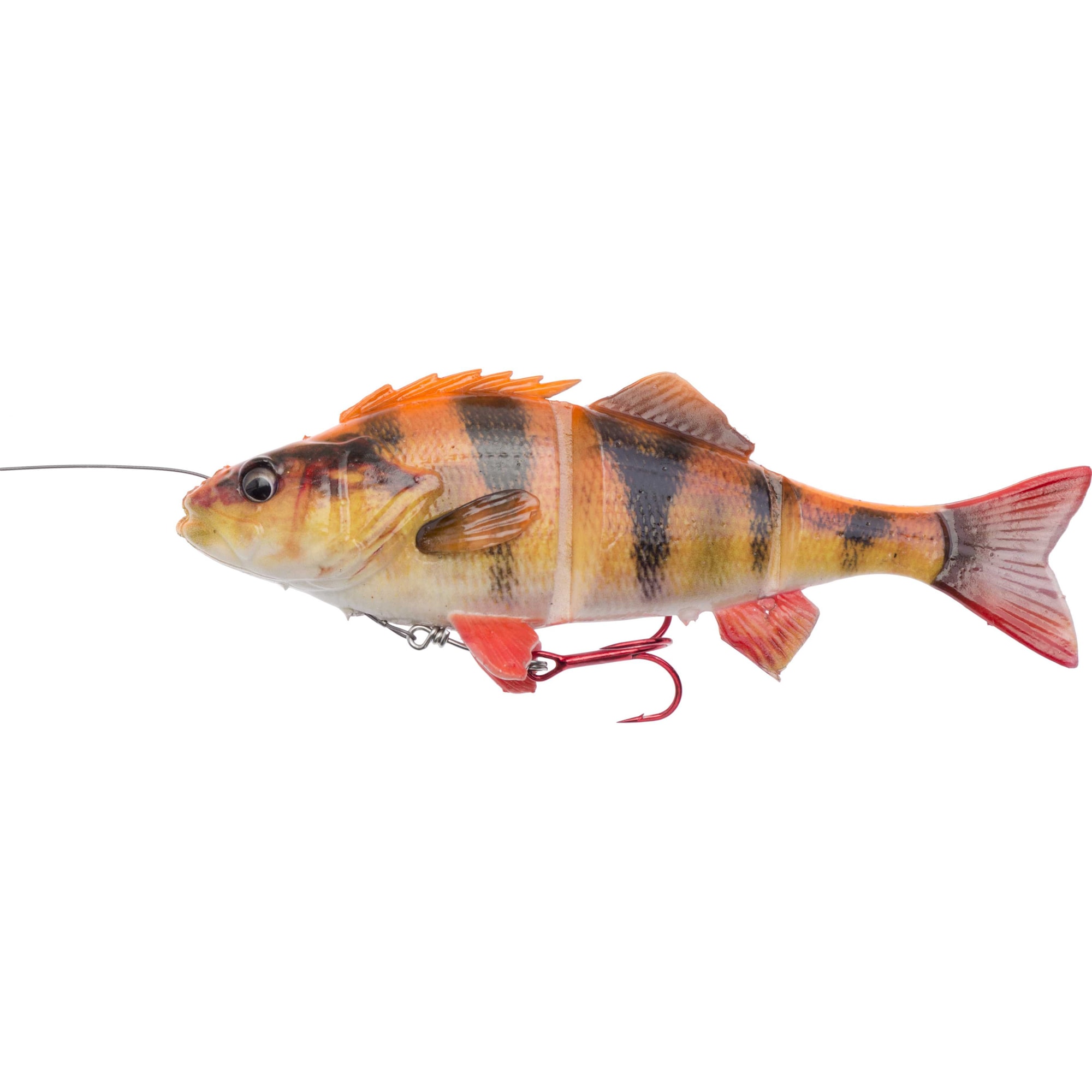 SG 4D Line Thru Perch 23 cm SS Albino