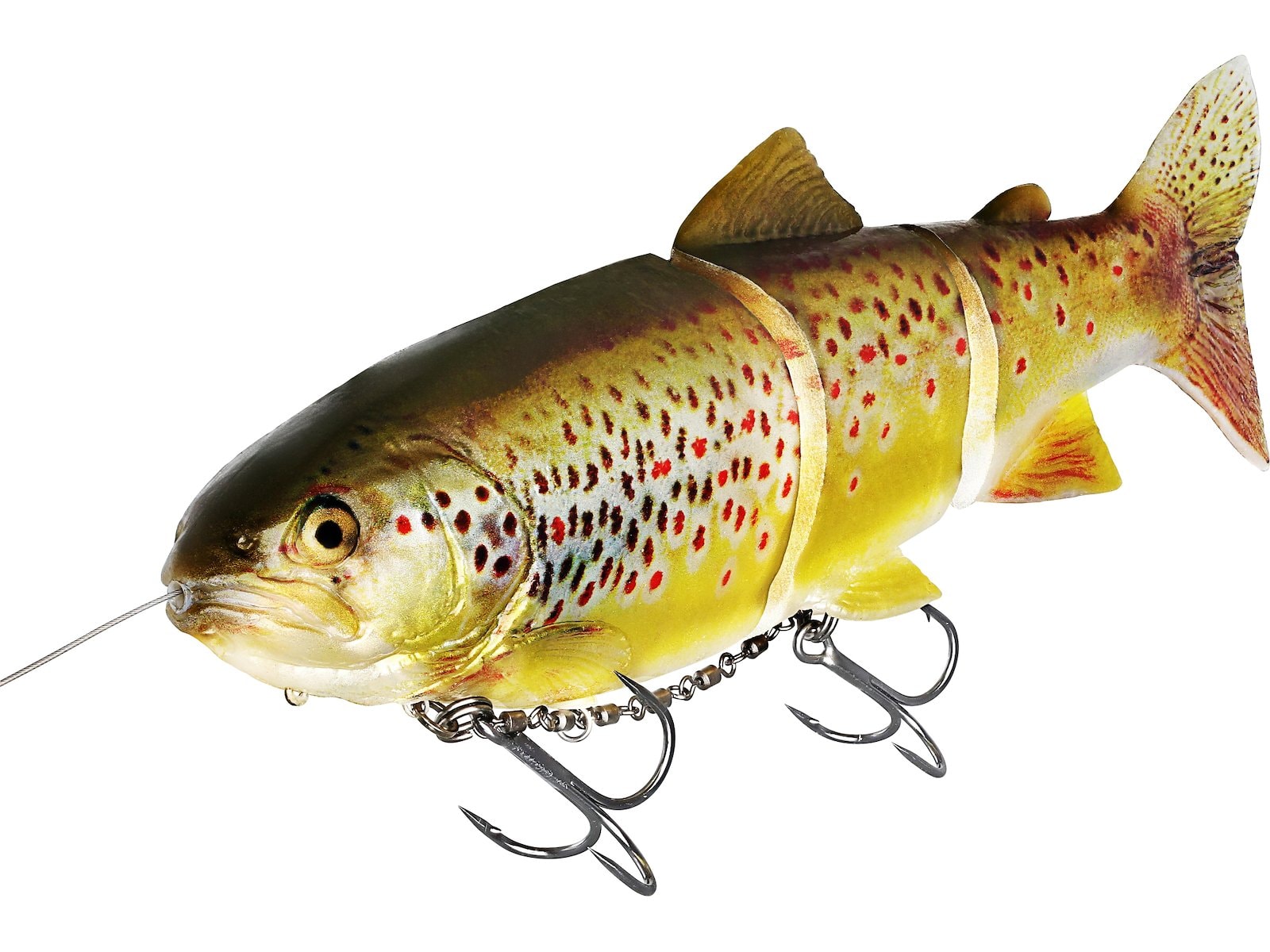 p268_tommy-the-trout-inline_headline.jpg