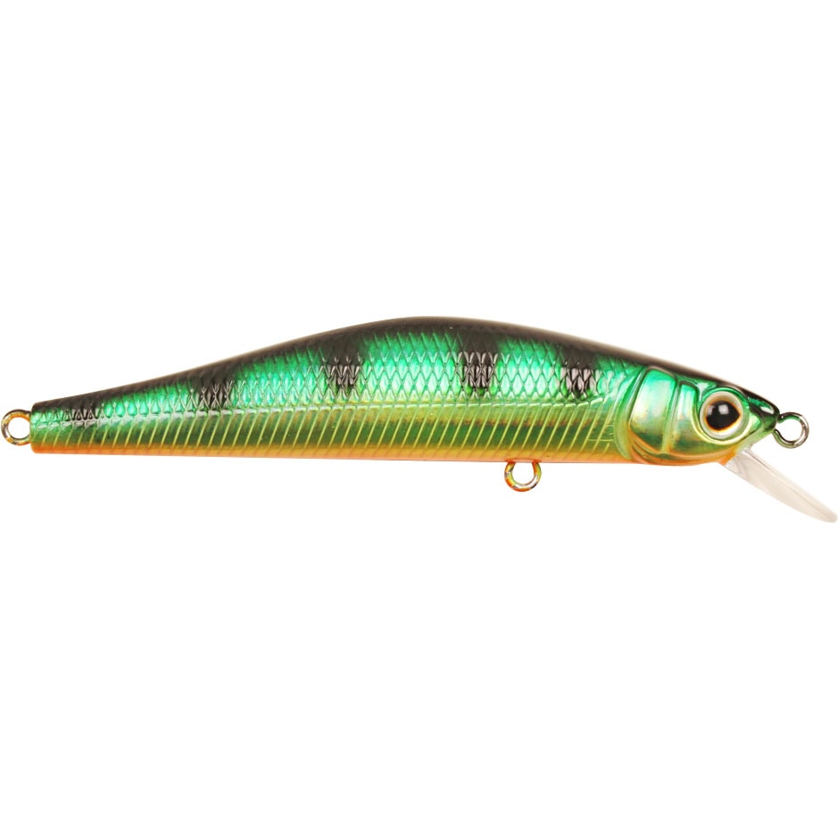 Inquisitor 8 cm Rainbow - utgången