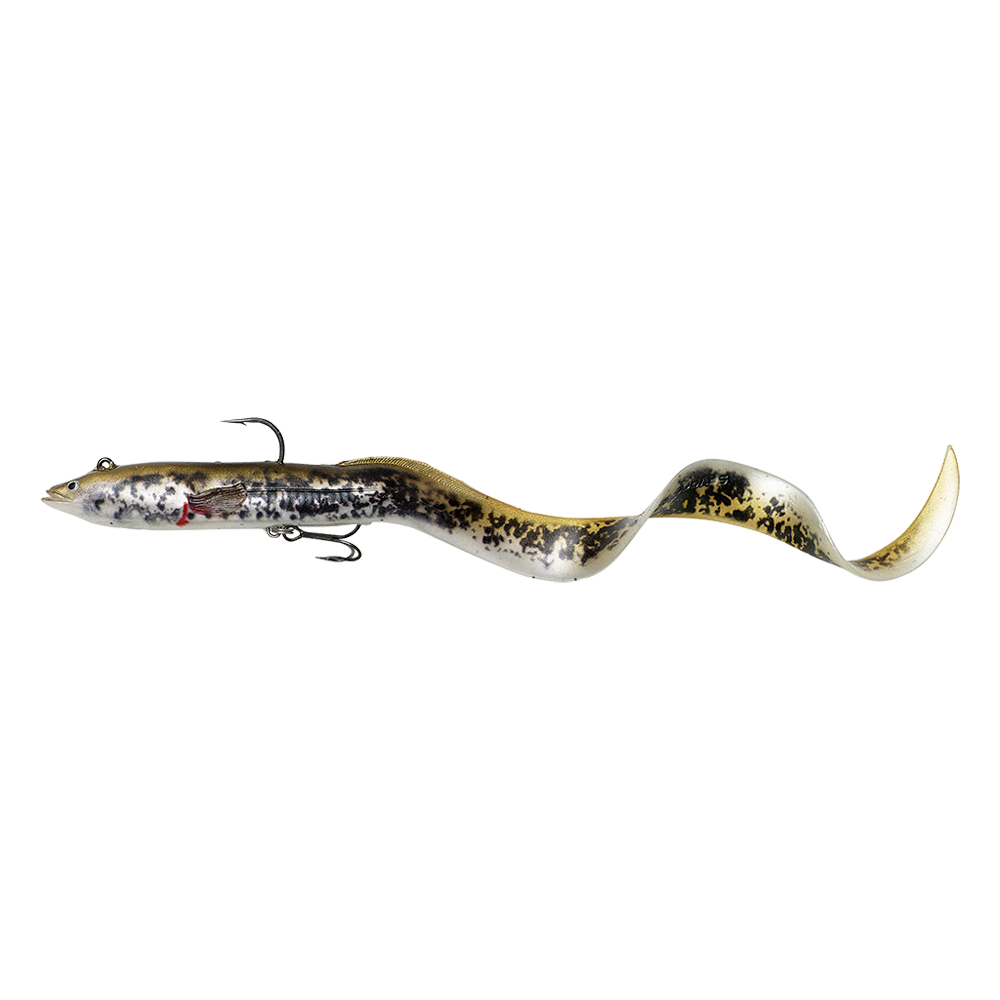 SG 4D Real Eel 30 cm Golden Ambulance