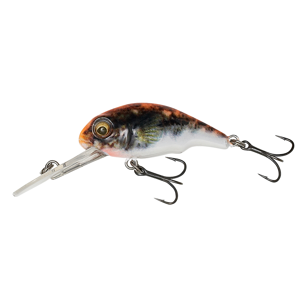 SG 3D Goby Crank PHP 4 cm Blue Silver