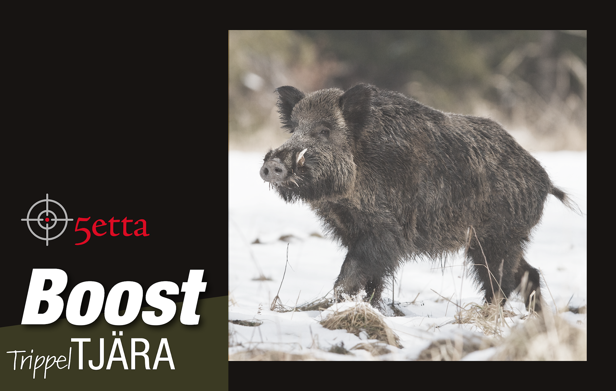 5etta Boost_Tjara.png