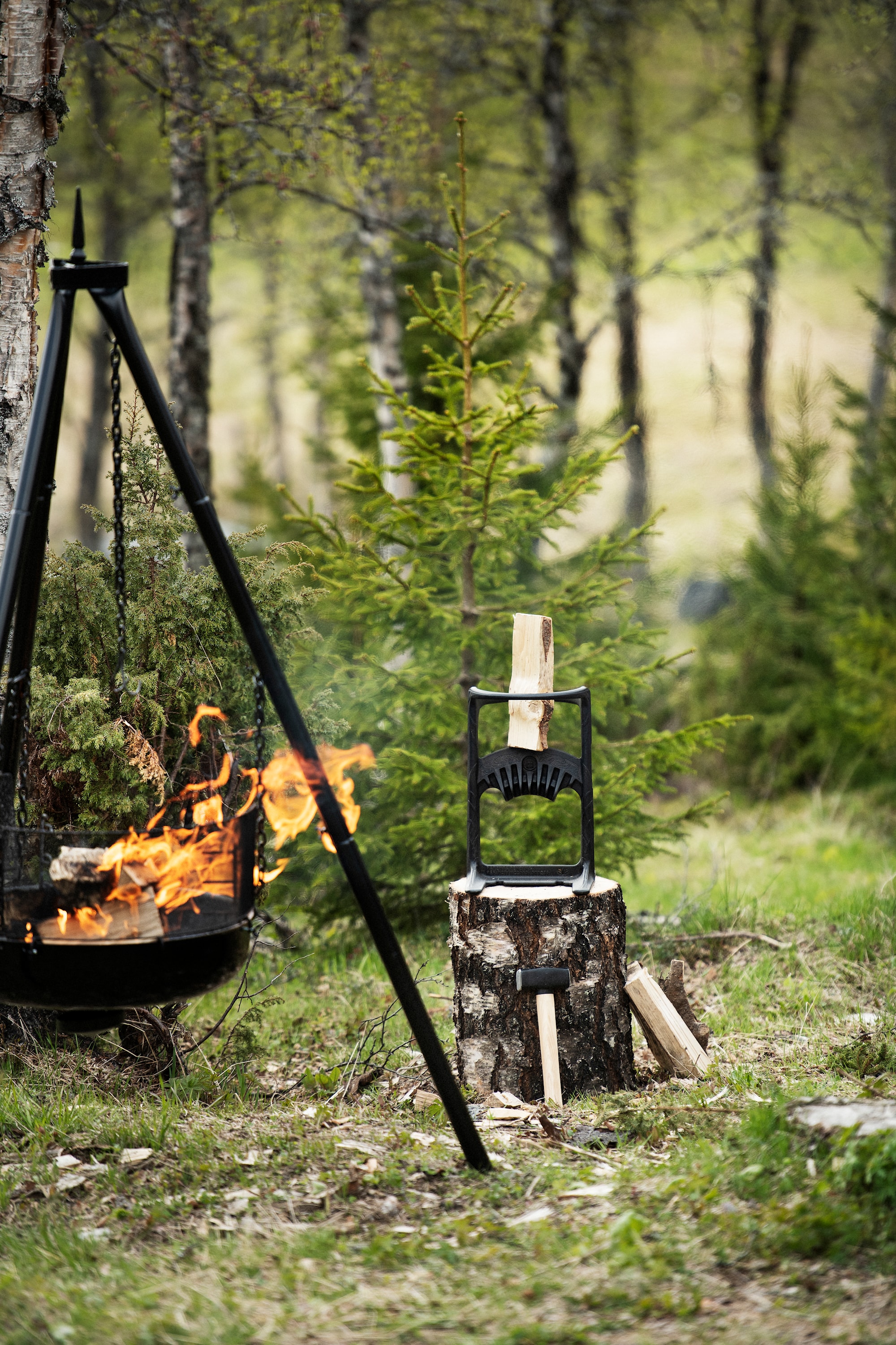 KINDLING_Kreator_2019_AnkiGrothe_2019_Highres_60cm