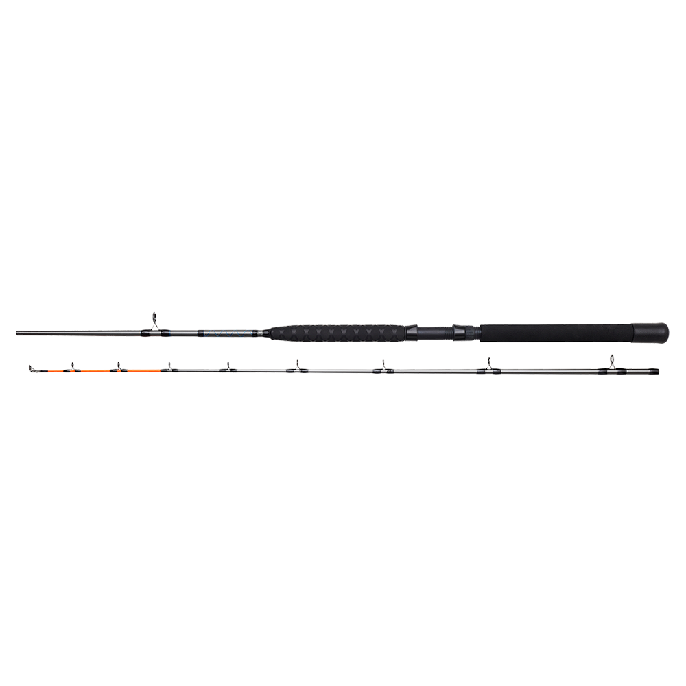 DAM Salmonizer Trolling 7'/2.10M M 12-25Lbs 2Sec
