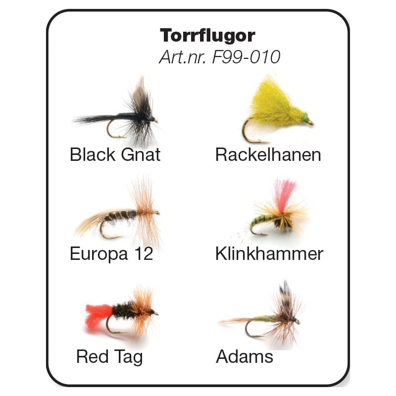 Darts Torrflugor 6-pack -