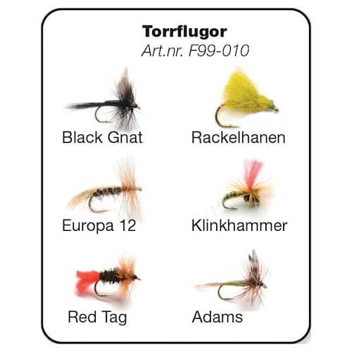 Darts Torrflugor 6-pack