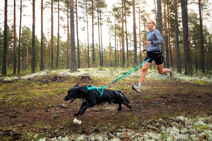 bungee_leash_aqua_setting_11[1].jpg