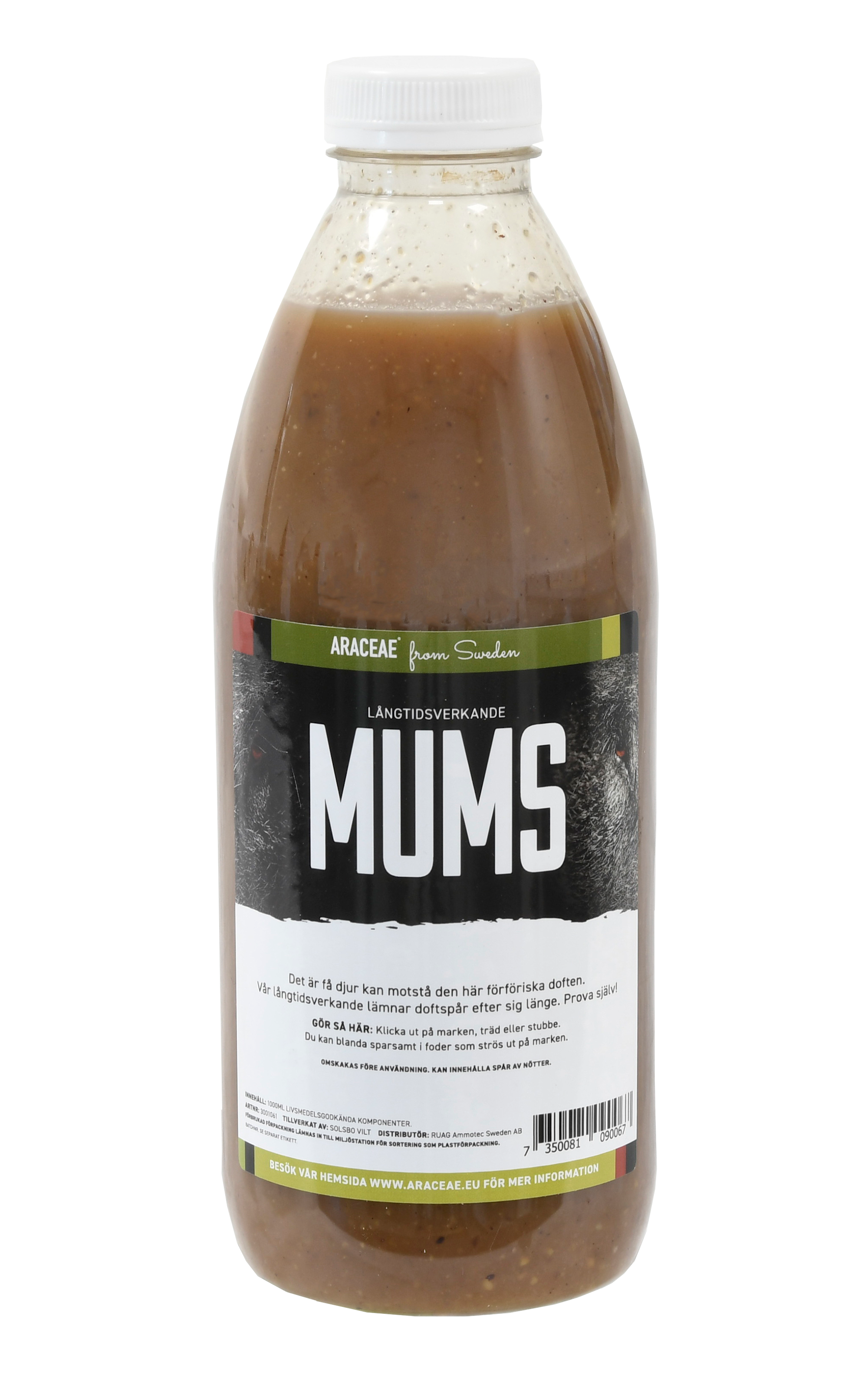 Araceae Mums Långtidsverkande