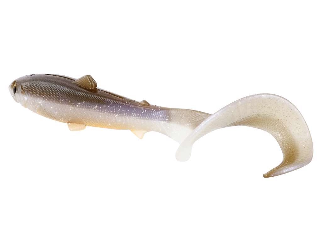 df60d483-3ab3-453e-a066-2b99df723c10_p080---p081bu