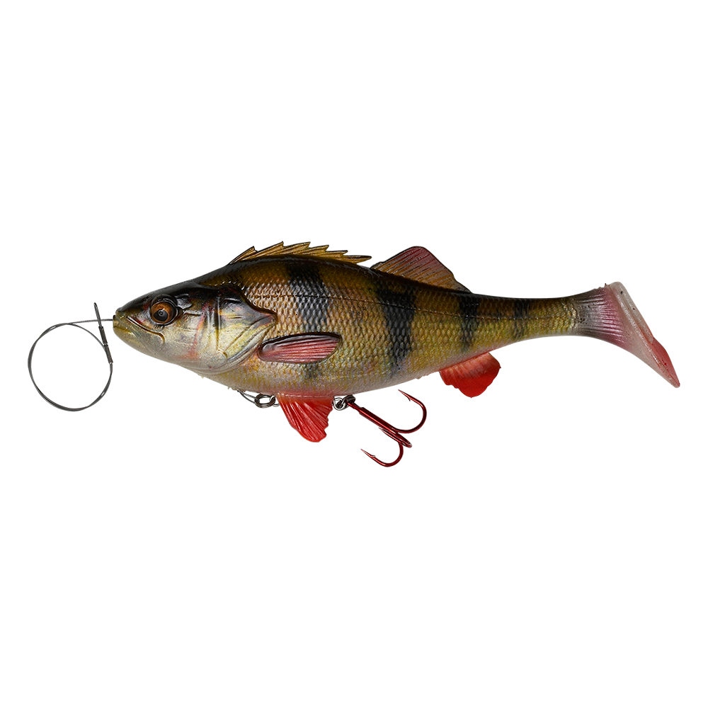 SG 4D Perch Shad 12,5 cm SS Albino