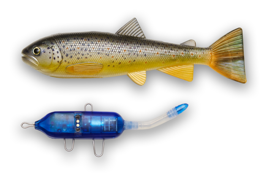 PulzBait Starter Kit Trout 15cm - Arctic Char
