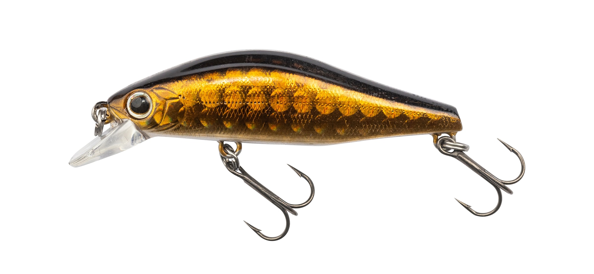 Daiwa TN Wise Minnow 50FS Gold Lens -