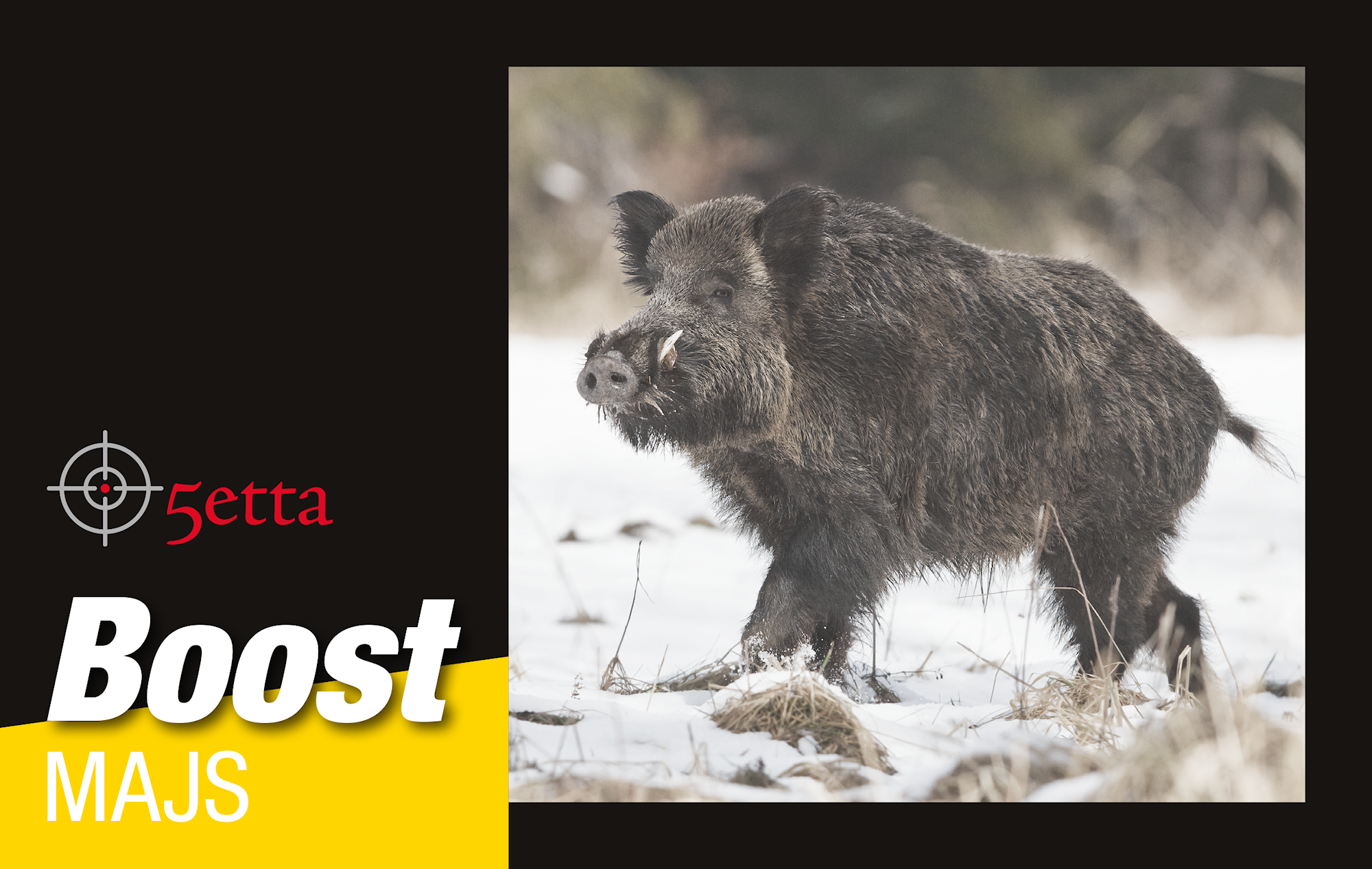 5etta Boost_majs.png