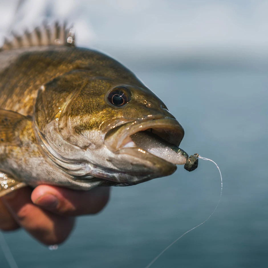 c53ab7bf0f296a_6abqp9m9hd309e817elp2g5c7a_bf532071