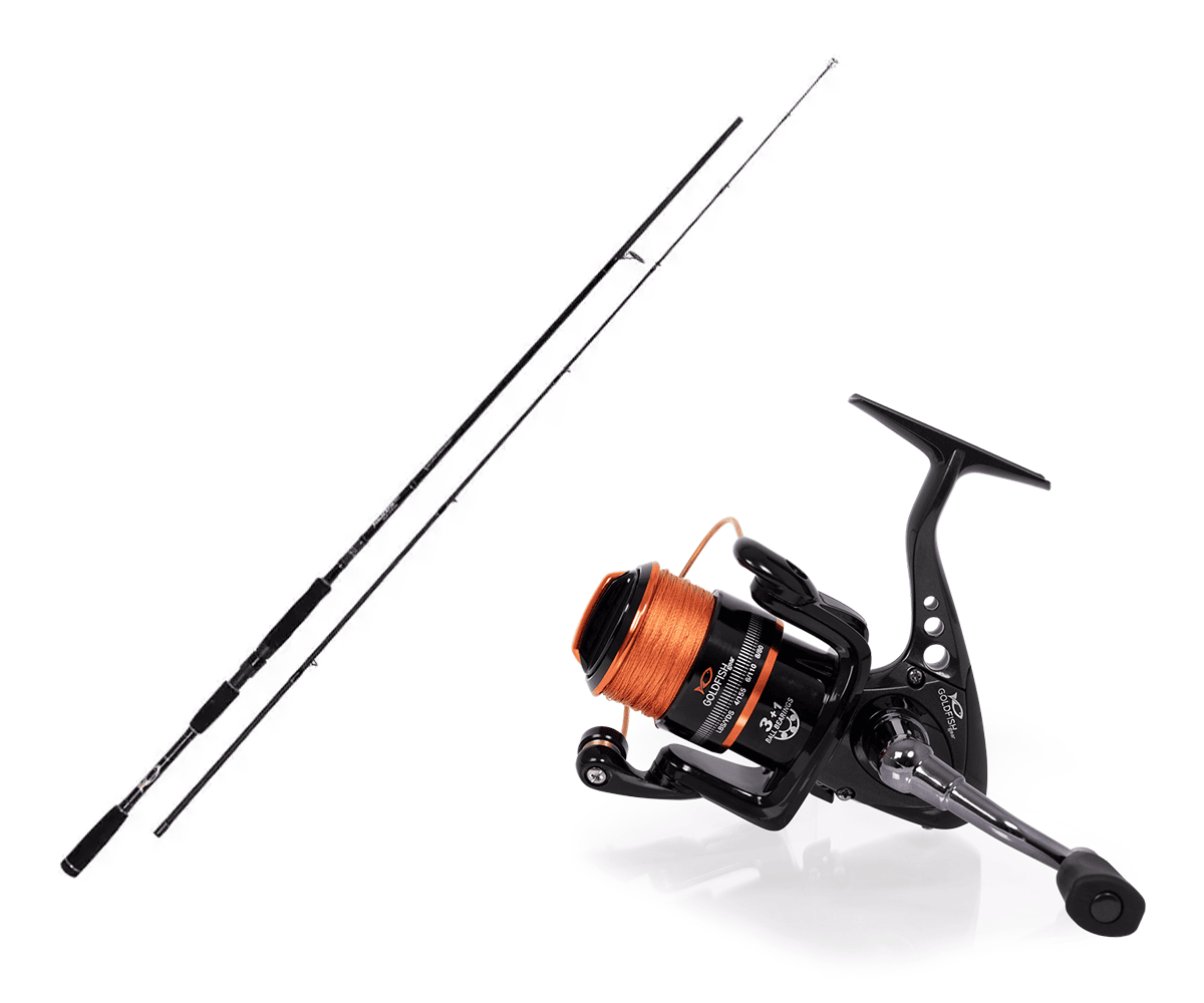 Goldfish Blackfin Haspelcombo Allround
