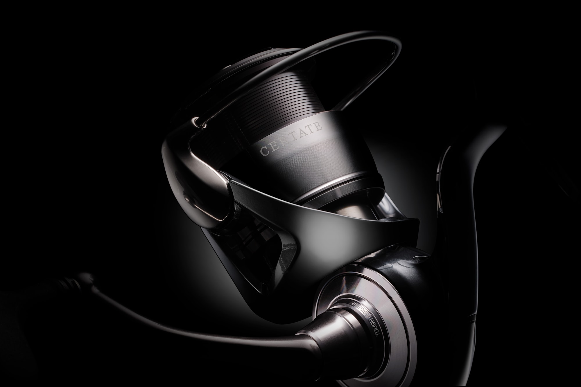 24 Certate LT_beauty1.jpg