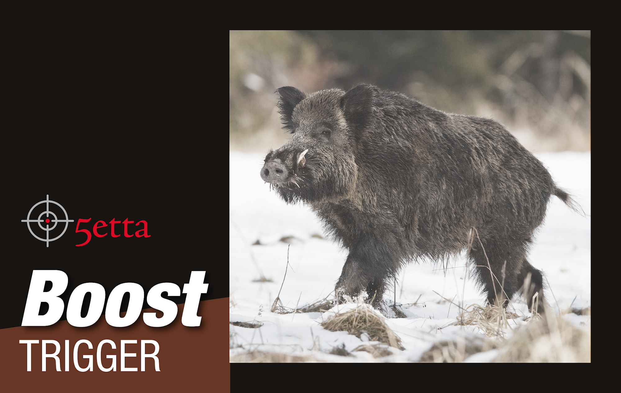 5etta Boost_Trigger.png