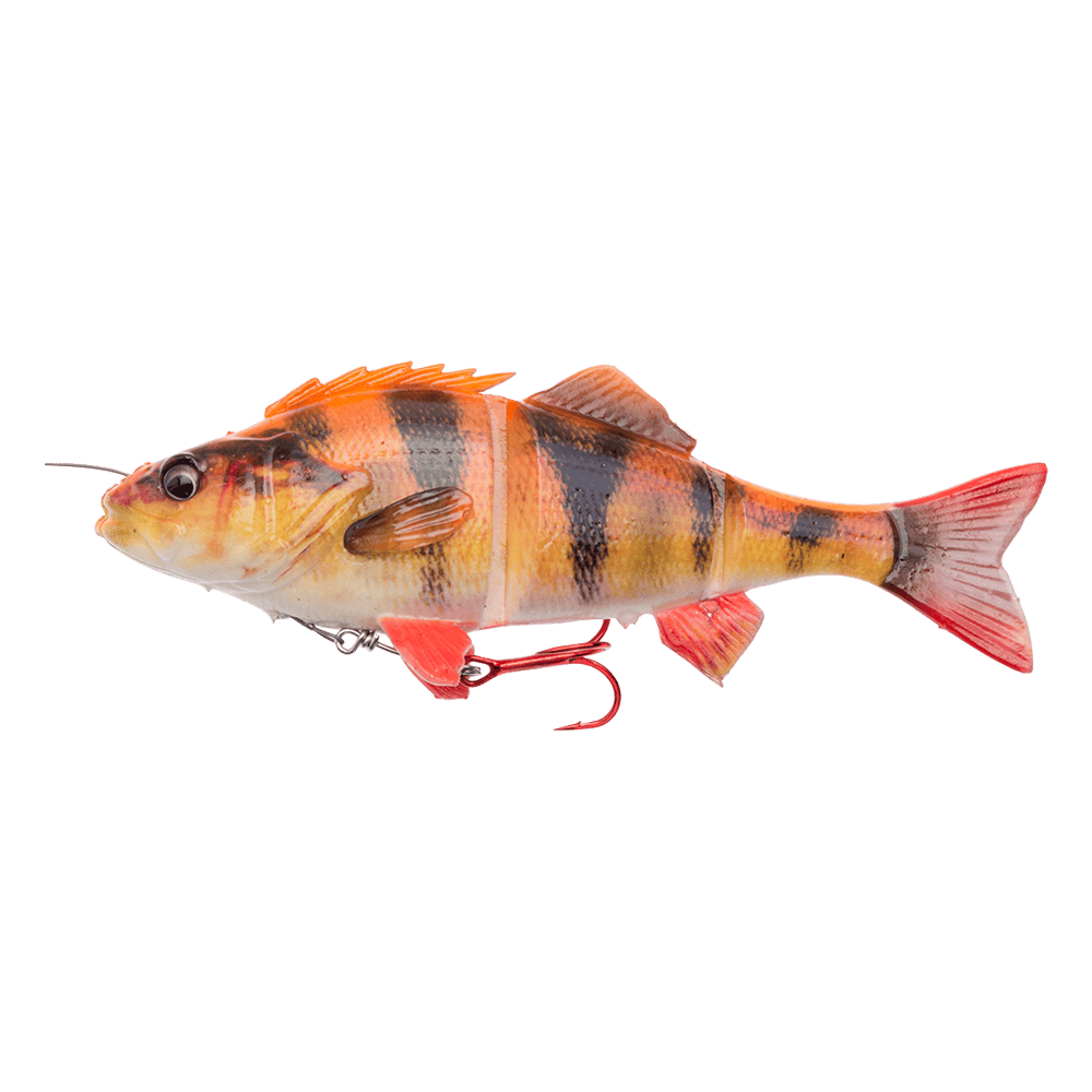 SG 4D Line Thru Perch 23 cm SS Albino