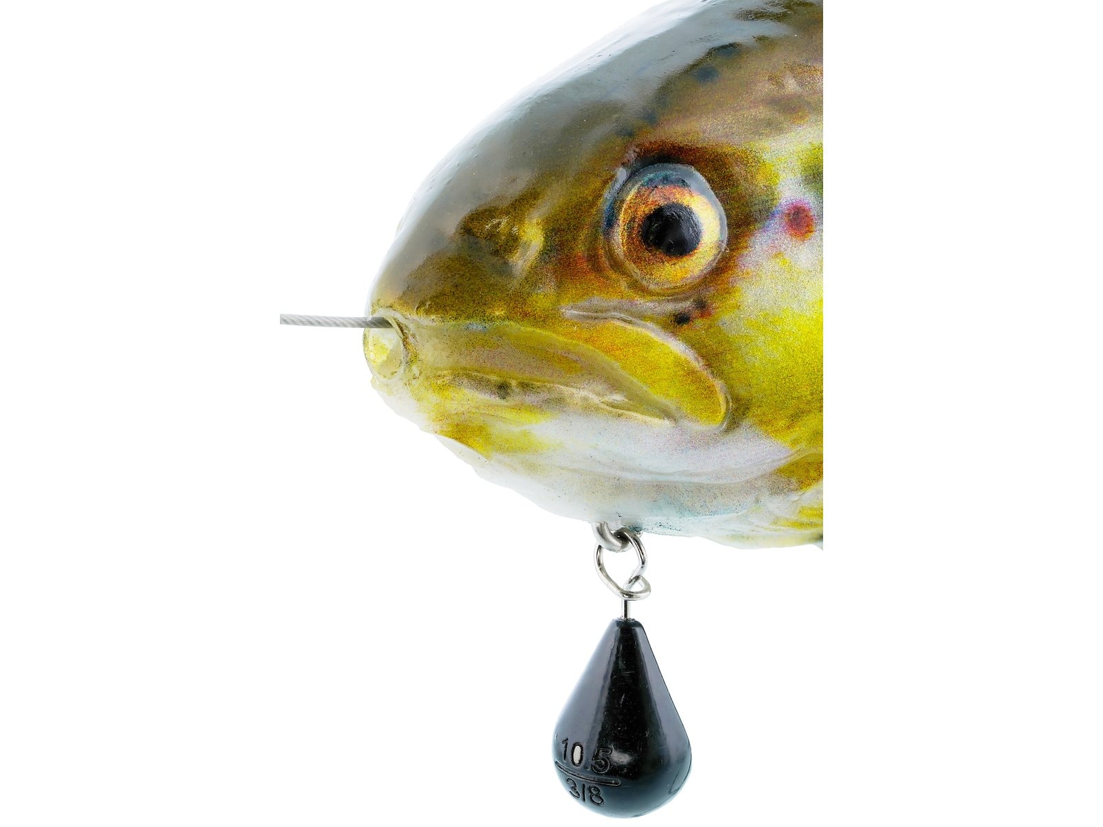 p268_tommy-the-trout-inline_x1.jpg