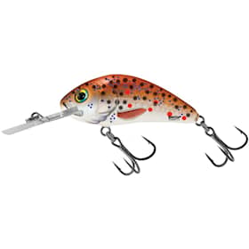 Salmo Rattlin Hornet 5,5 cm Brown Holographic Trout