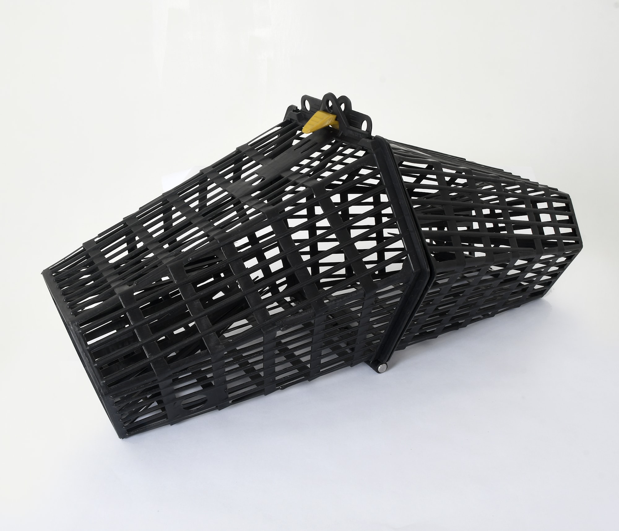 Dogger Kräftmjärde Large