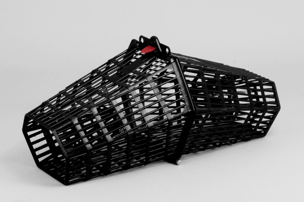 Carapaxmjärden Yrkes Kräftmjärde