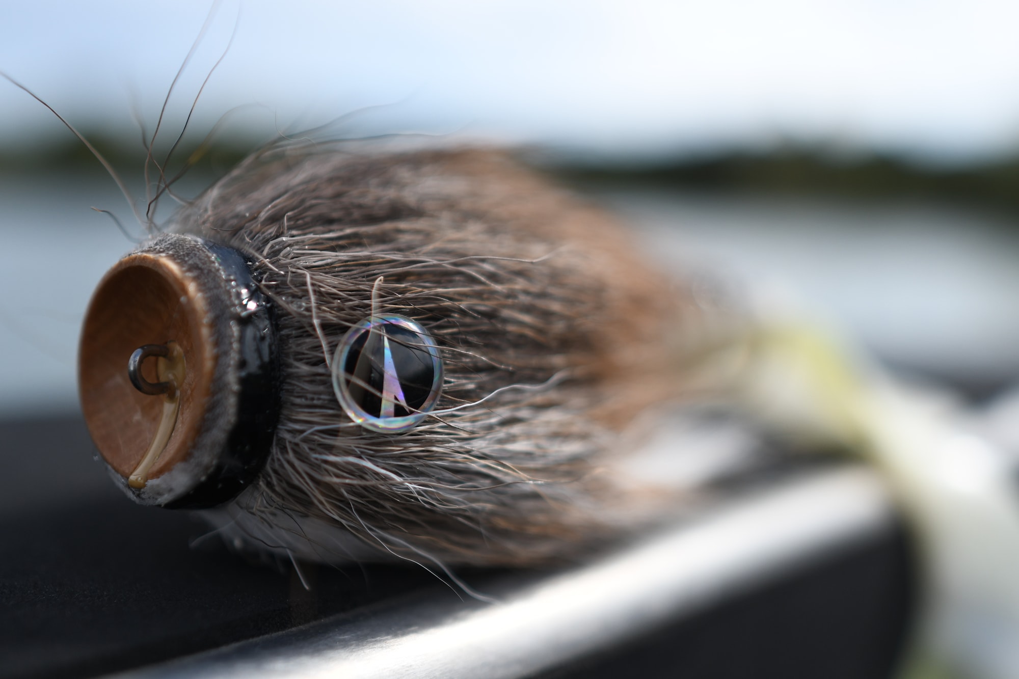 MARIN_MUSTACHE-SHALLOW_SEPT-2023 (17).JPG