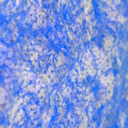 Skrubbsida Heavy duty wipes.png